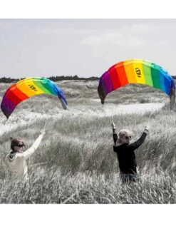 AILE D'INITIATION HQ SYMPHONY BEACH -Foilflight Surf Boutique aile d initiation hq symphony beach 2