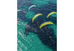 FLYSURFER SONIC 4 -Foilflight Surf Boutique flysurfer sonic 4 6
